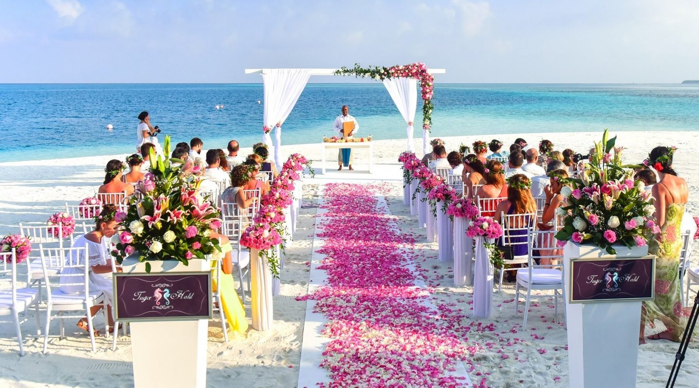 dr.vr  wedding photo